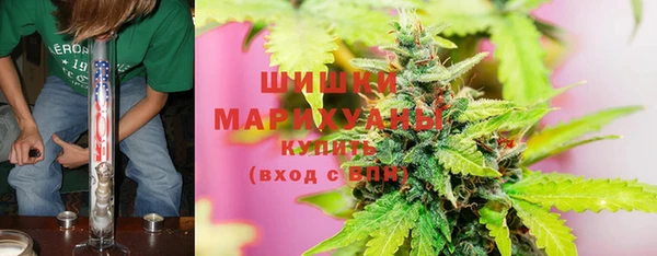 гидропоника Алзамай