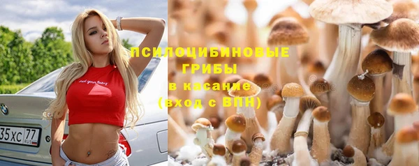 гидропоника Алзамай