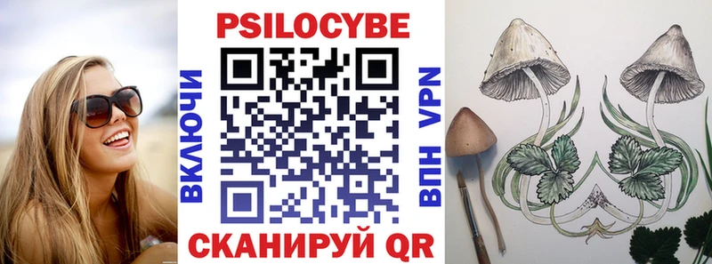 наркота Жуковский Псилоцибиновые грибы мицелий